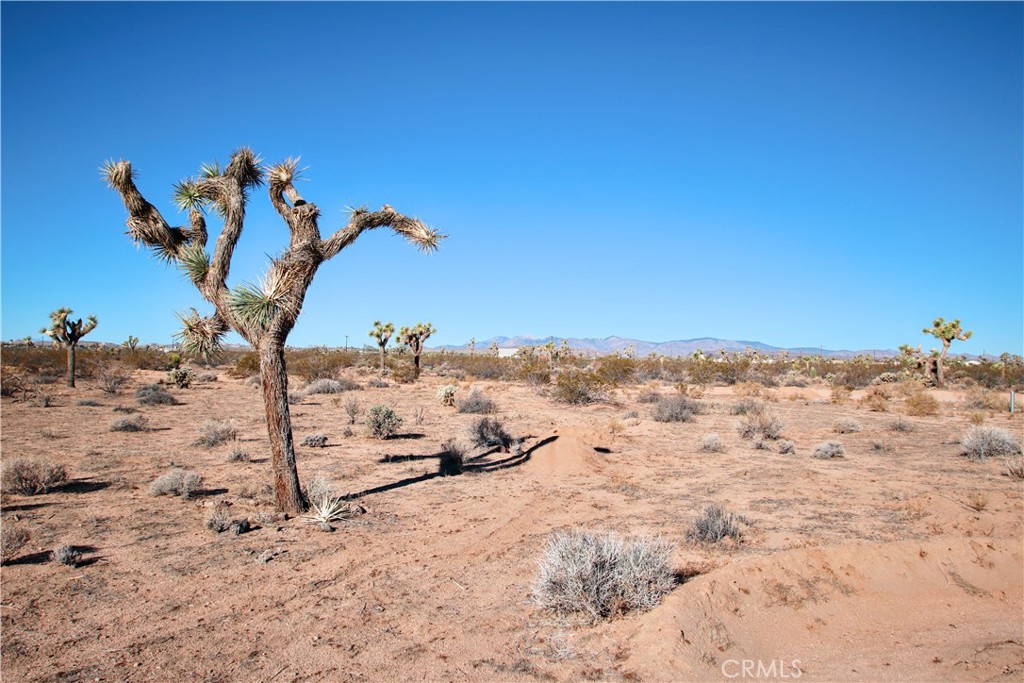 0 Olympic Road Joshua Tree, CA 92252 - Photo 20 of 24