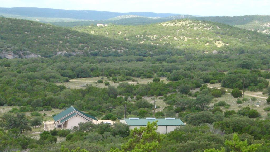 an aerial view of residential houses with outdoor space and trees