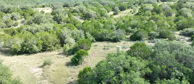 a view of a lush green forest with lots of trees
