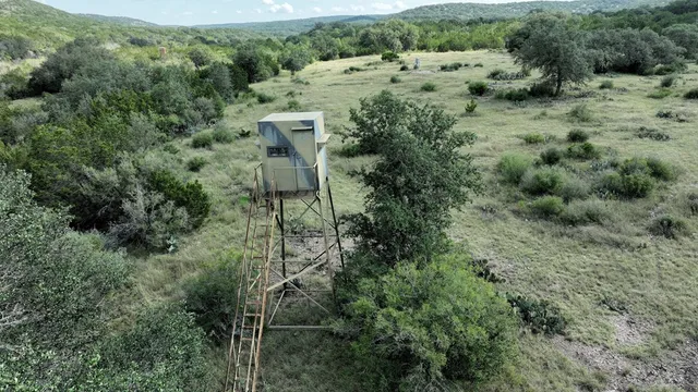 a view of backyard with green space