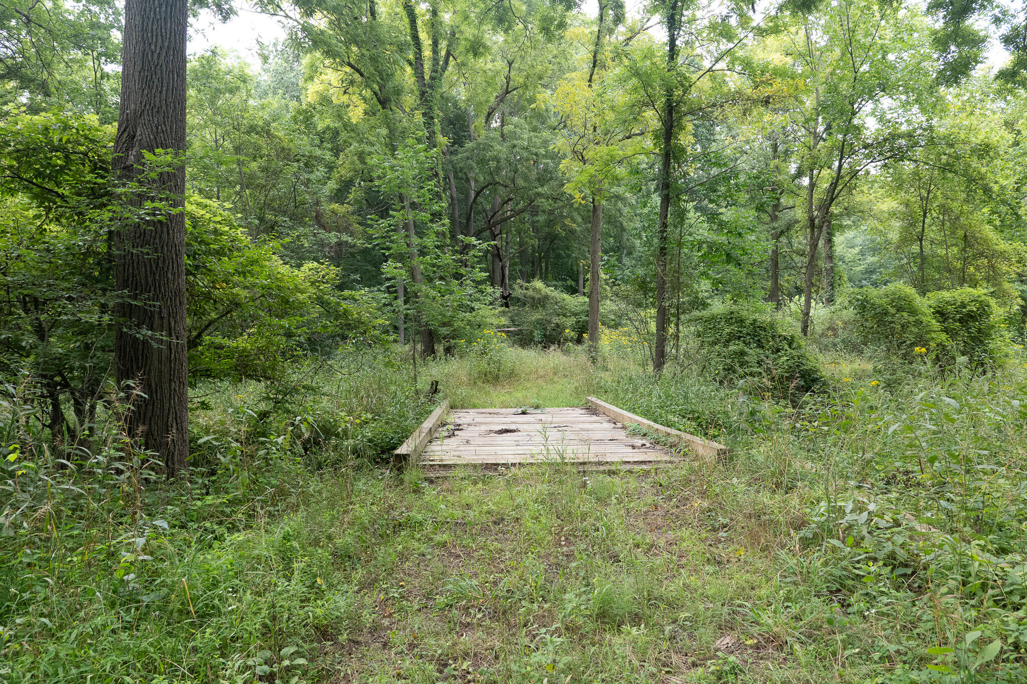 12680 Day Road Hudson, MI 49247 - Photo 65 of 77 P1101097