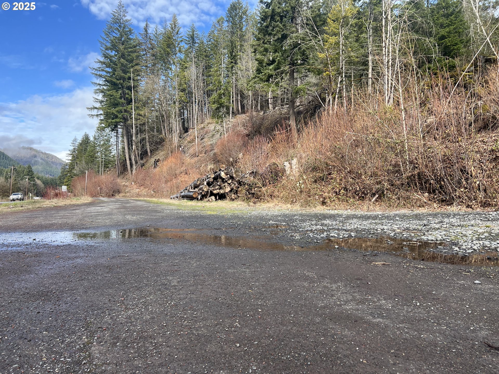 North Santiam Highway, Unit 1 Idanha, OR 97350 - Photo 4 of 7 a view of a yard with large trees