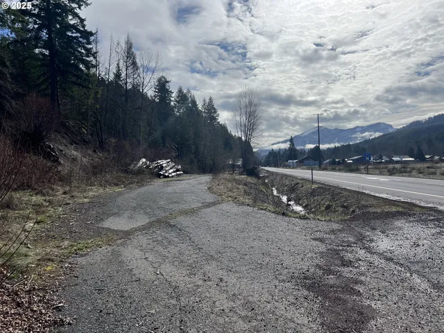 a view of a dry yard with trees