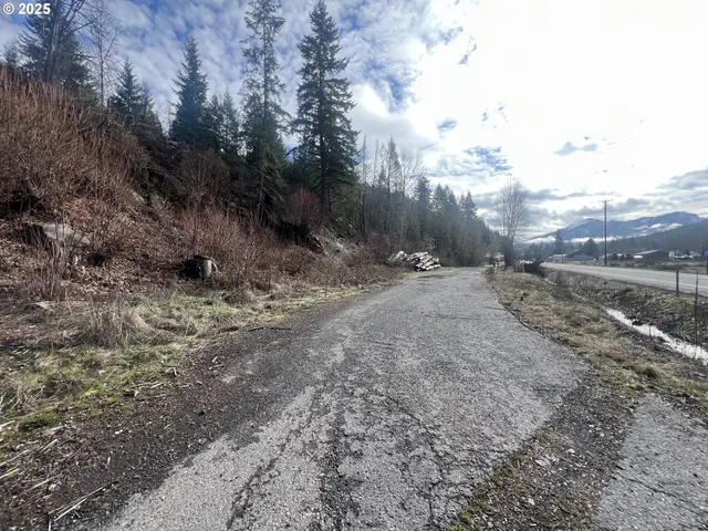 a view of a dirt road with trees