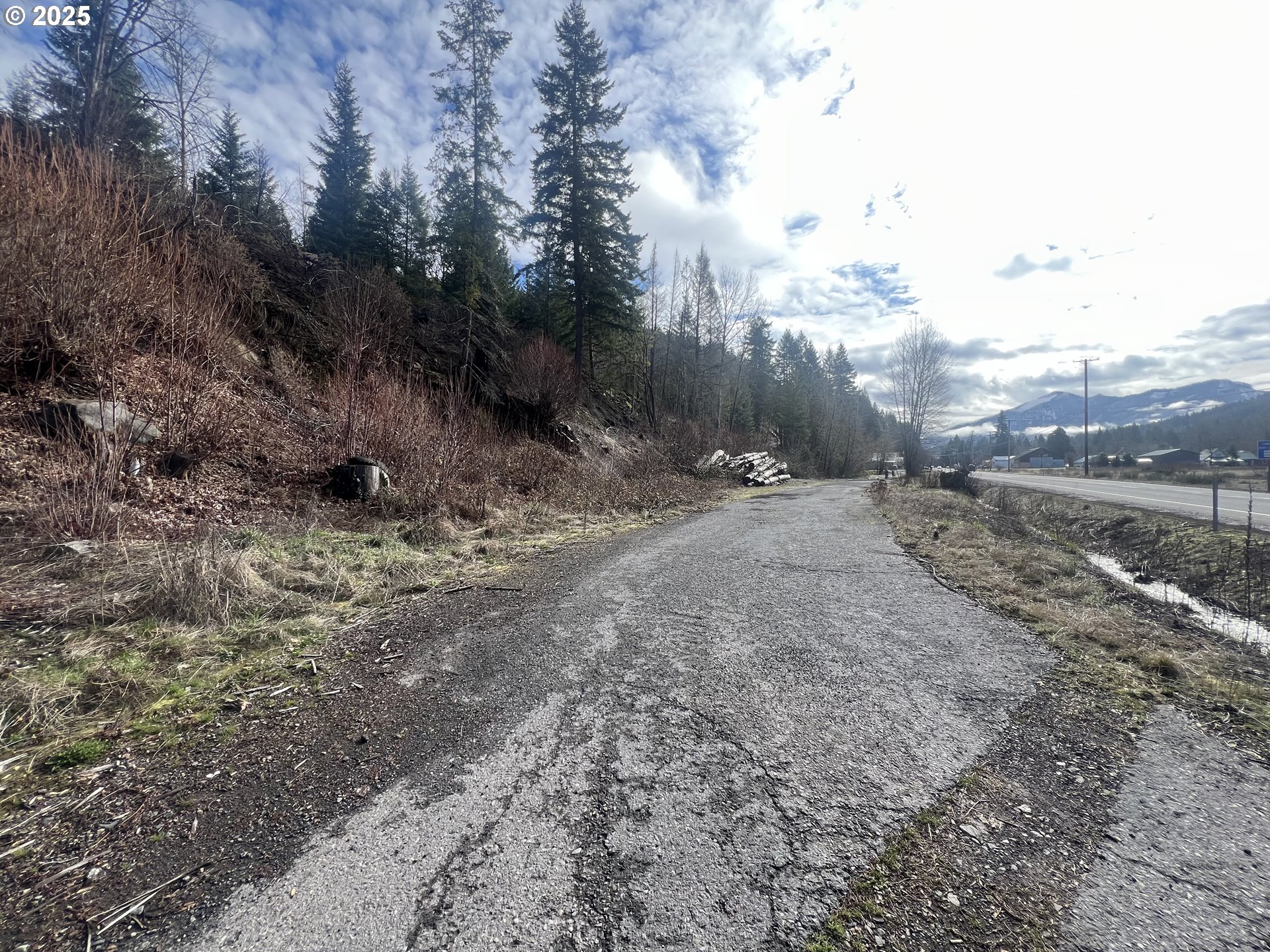 North Santiam Highway, Unit 1 Idanha, OR 97350 - Photo 6 of 7 a view of a dirt road with trees
