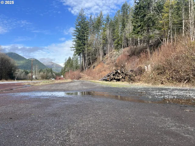 a view of dirt yard with a large tree