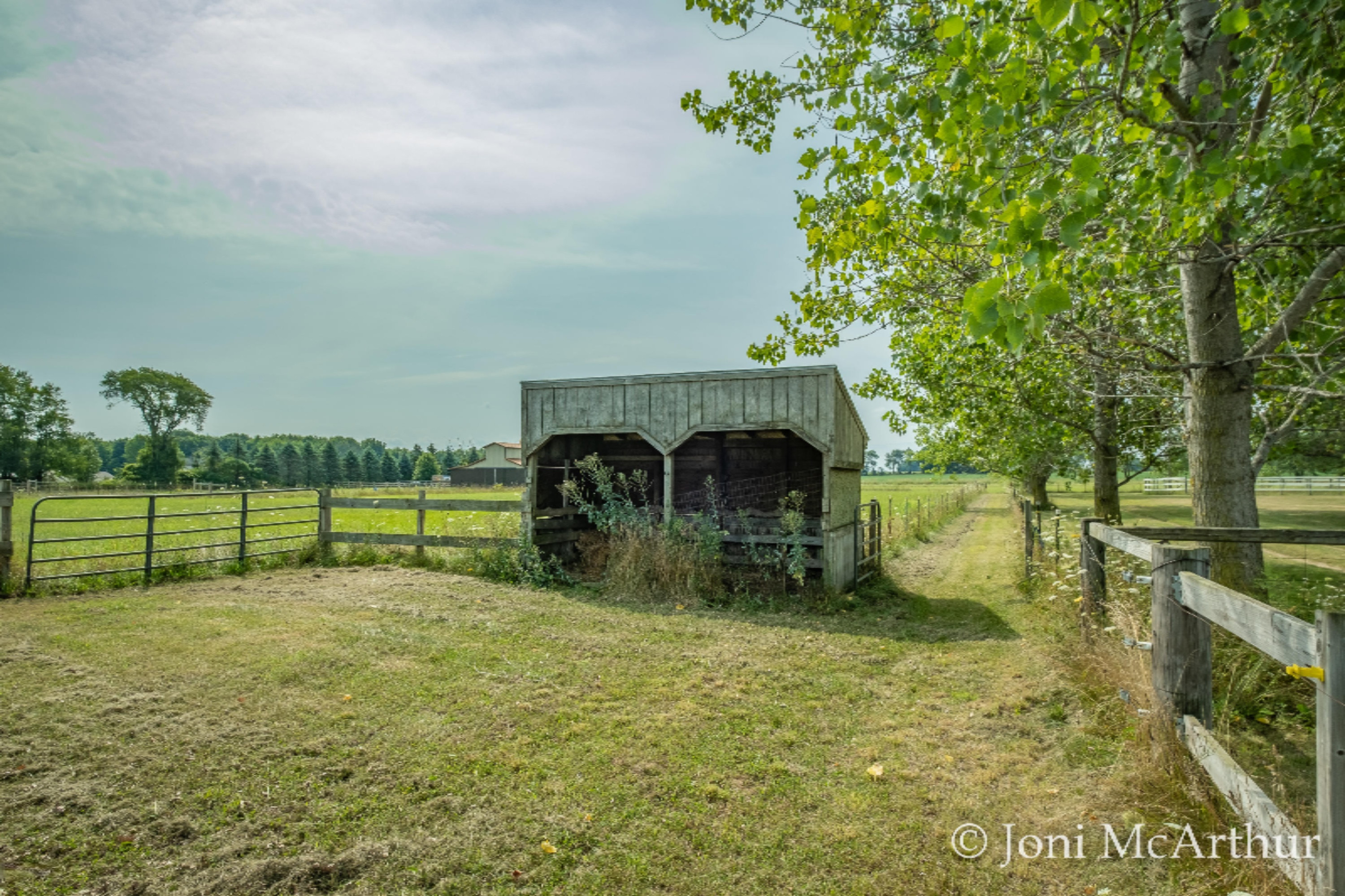 3509 East Moore Road Bailey, MI 49303 - Photo 49 of 83 Photo-22