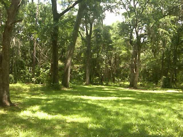 Lot 7 Azalea Rd Crescent Townsend, GA 31331 - Photo 1 of 1 Gallery Image 1