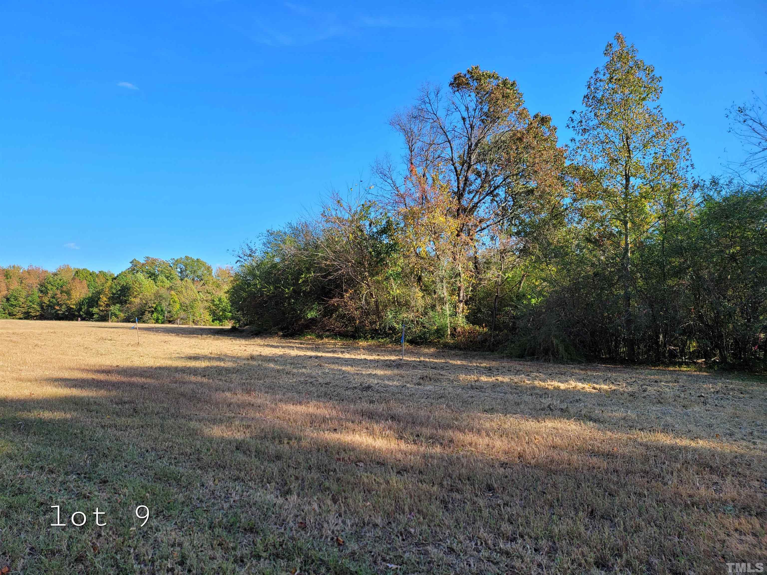 Lot 9 Allensville Road Roxboro, NC 27574 - Photo 4 of 9 a view of an outdoor space with mountain view