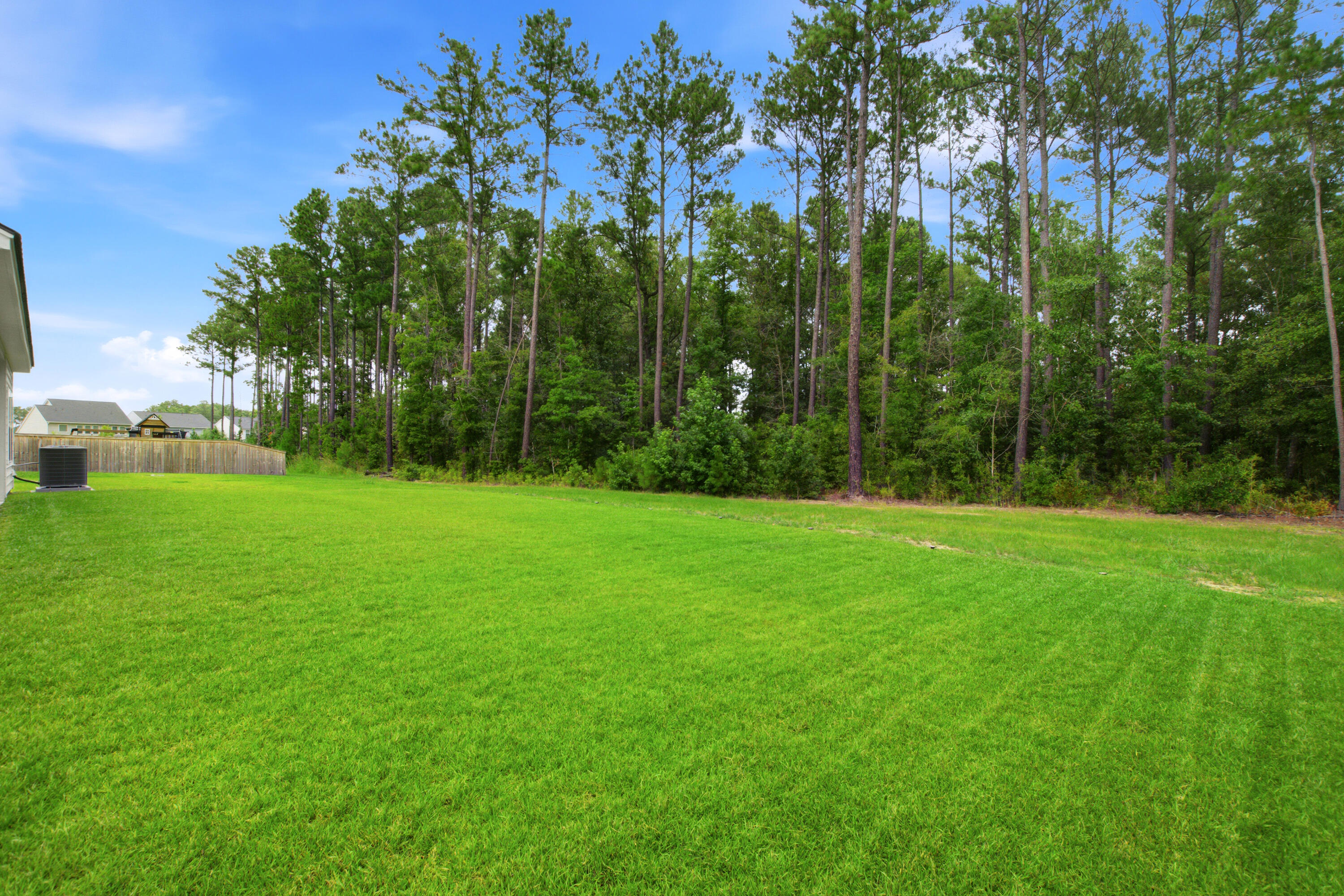 626 Red Monarch Way Moncks Corner, SC 29461 - Photo 59 of 59 626 (59)