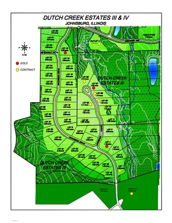 a view of a bunch of plants and flowers