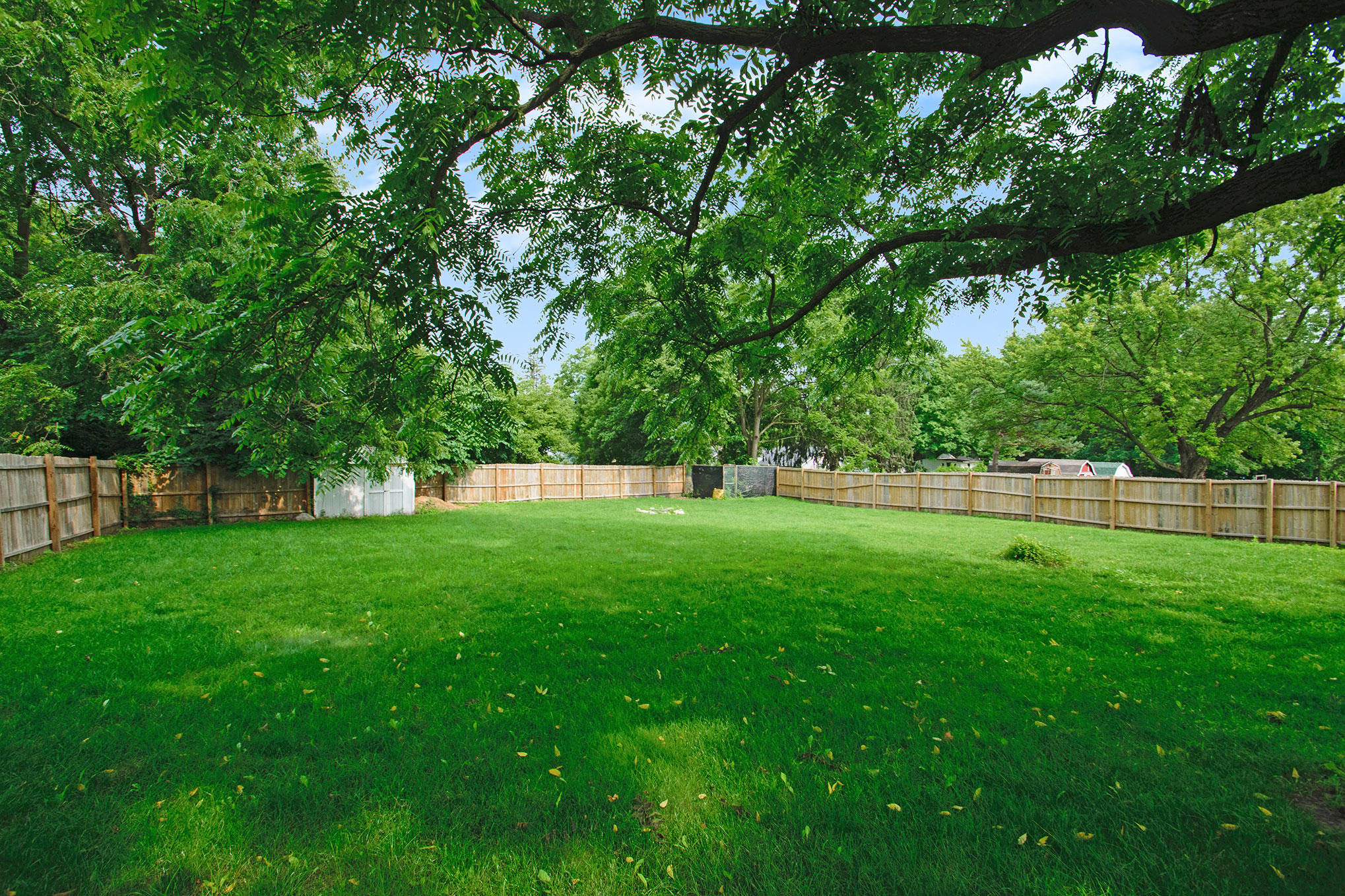 456 Rice Street Ionia, MI 48846 - Photo 24 of 24 Backyard