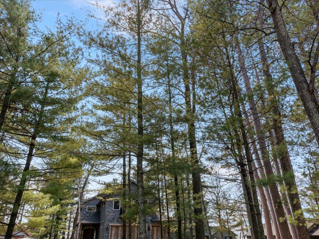 12125 Whitefish Avenue Crosslake, MN 56442 - Photo 47 of 56