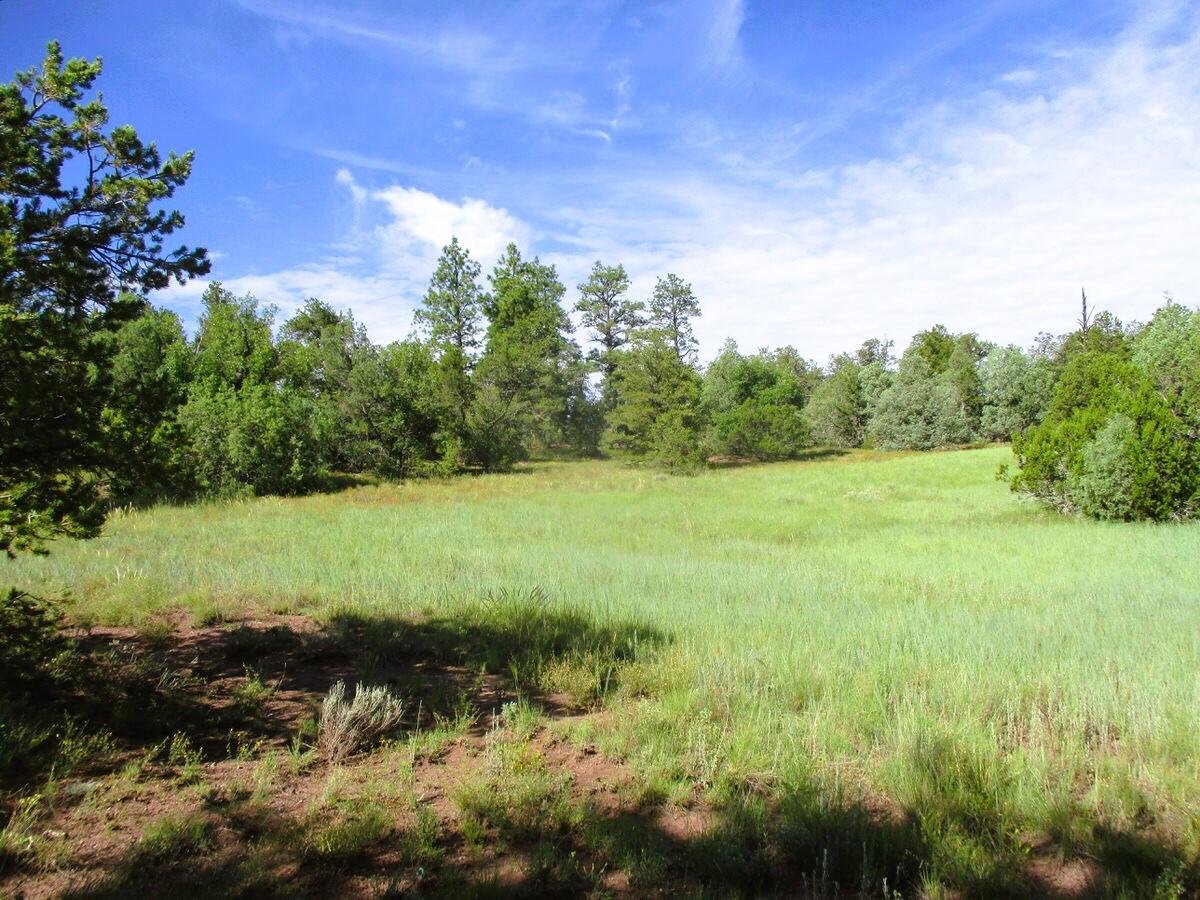 5-6 Black Bear Road Ramah, NM 87321 - Photo 4 of 64 Gallery Image 4
