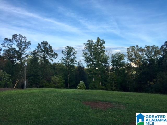 79 River Road Oneonta, AL 35121 - Photo 27 of 38 Gallery Image 27
