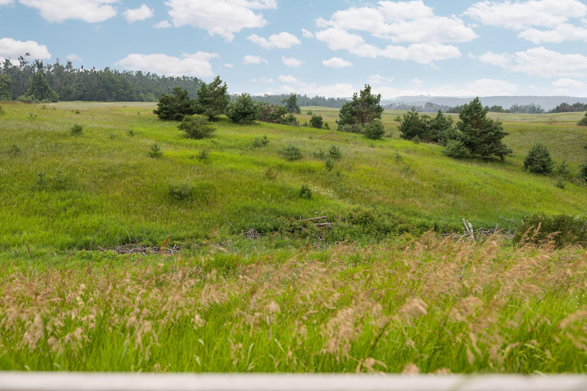 2822 Kujawa Road Gaylord, MI 49735 - Photo 47 of 66 Gallery Image 47