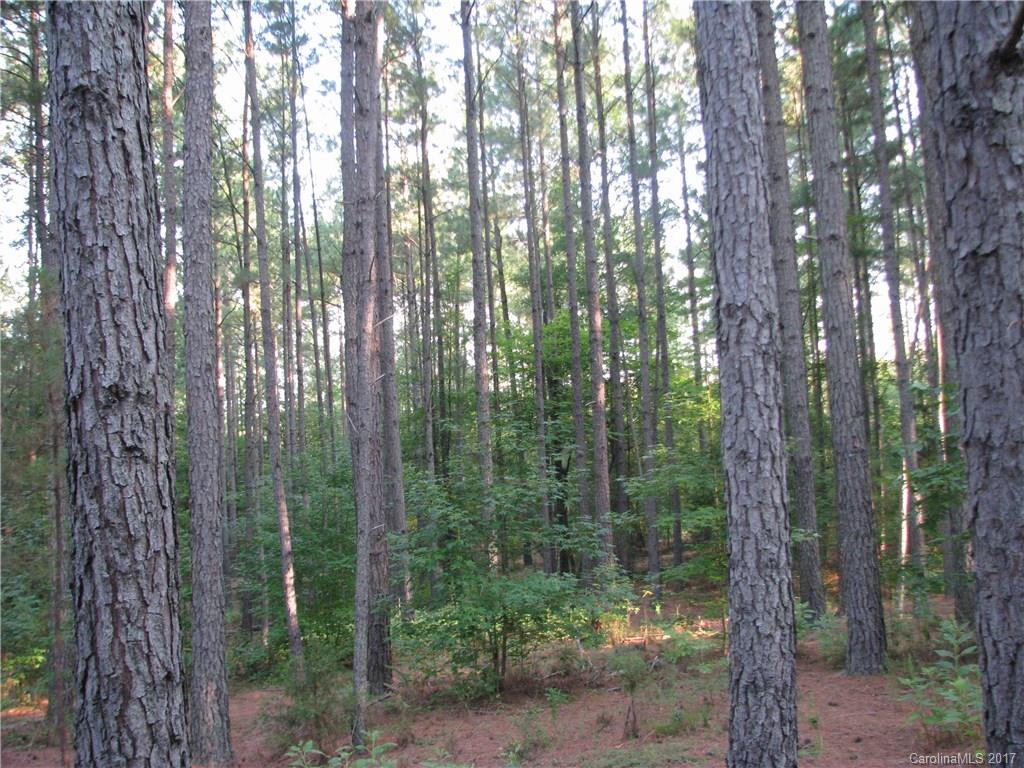 2770 Quinn Road Chester, SC 29706 - Photo 14 of 18