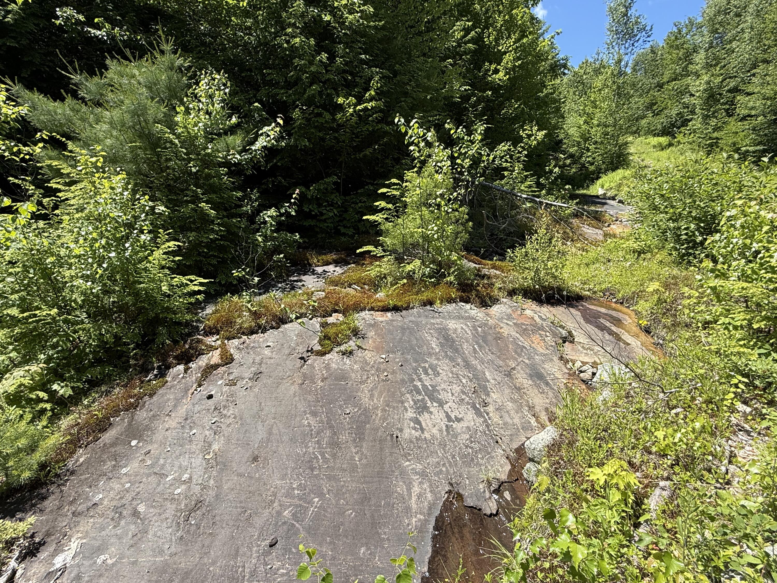 27 Greenwoods Road Peru, ME 04290 - Photo 29 of 37 IMG_4061