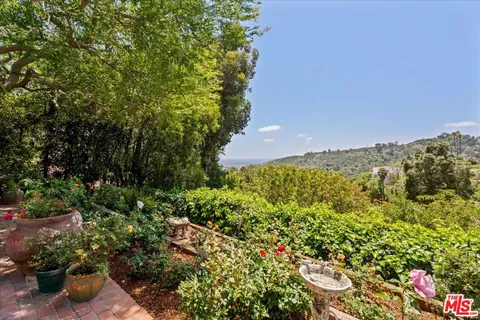 a view of a bunch of flowers in a garden