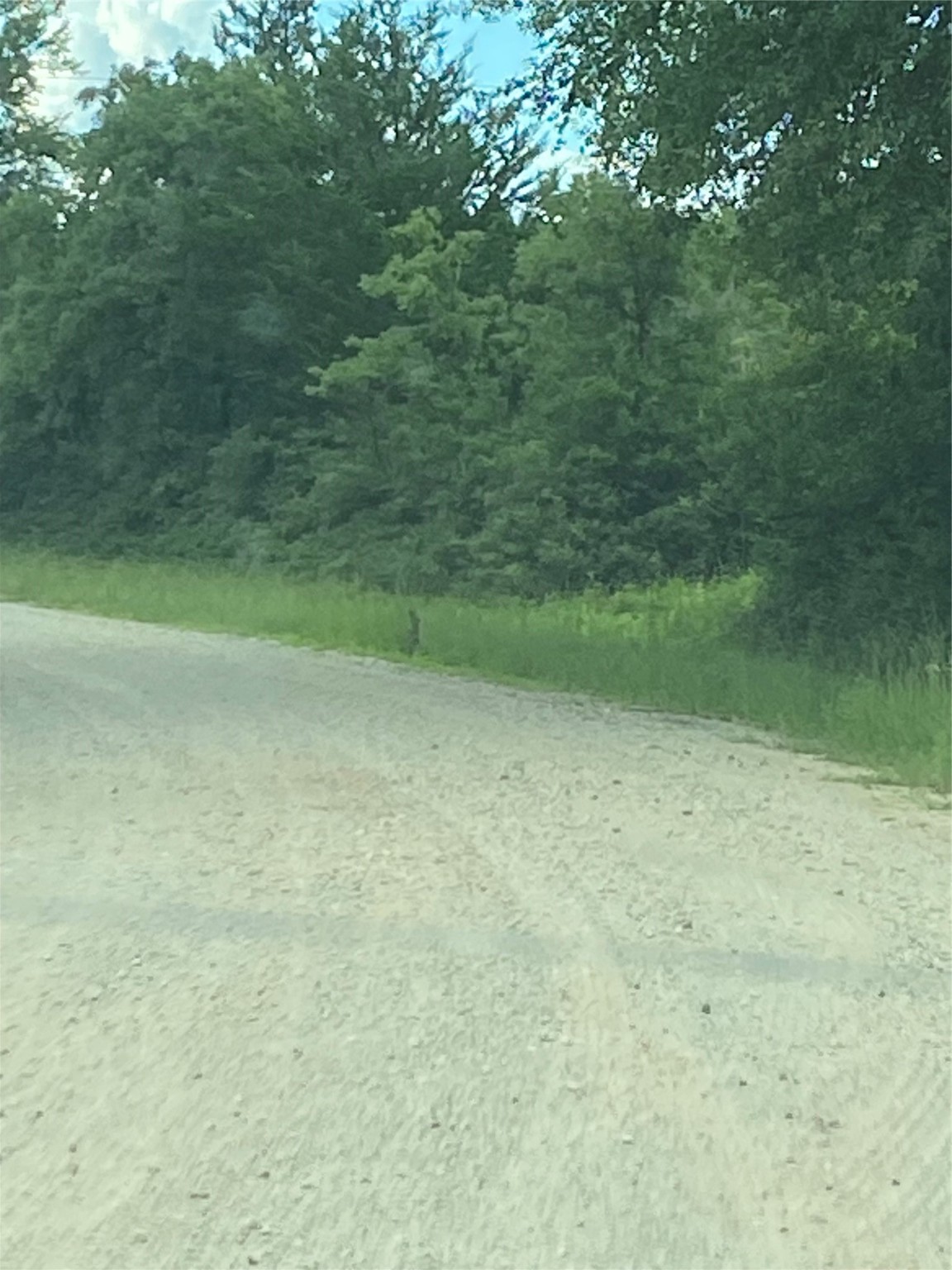 0 Green Ash Drive Normangee, TX 77871 - Photo 3 of 7 a view of a big yard with green space