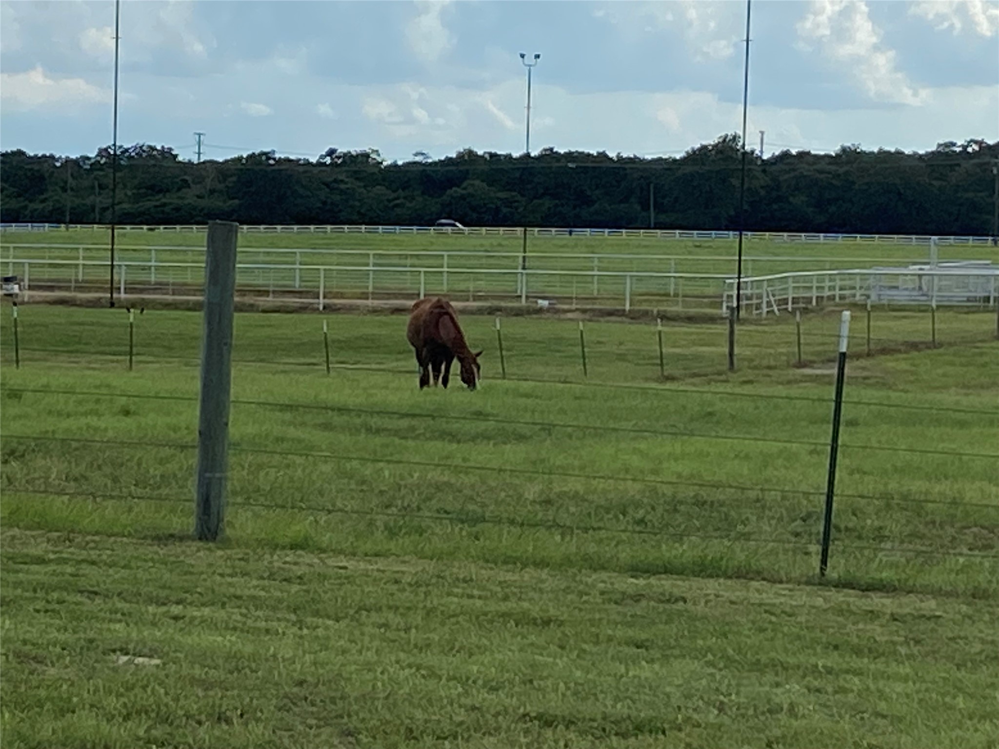 0 Green Ash Drive Normangee, TX 77871 - Photo 6 of 7 a view of a lake