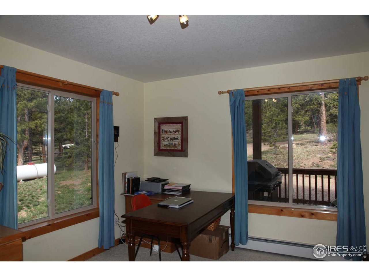 77 Bramer Road Ward, CO 80481 - Photo 10 of 16 Gallery Image 10