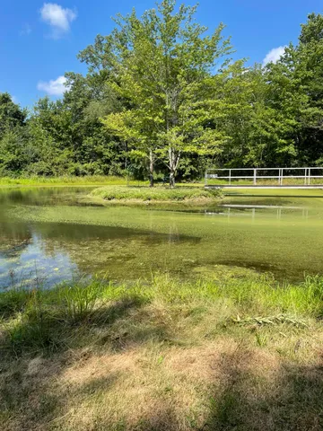 $695,000 | 7767 Warren Woods Road, Three Oaks, MI 49128