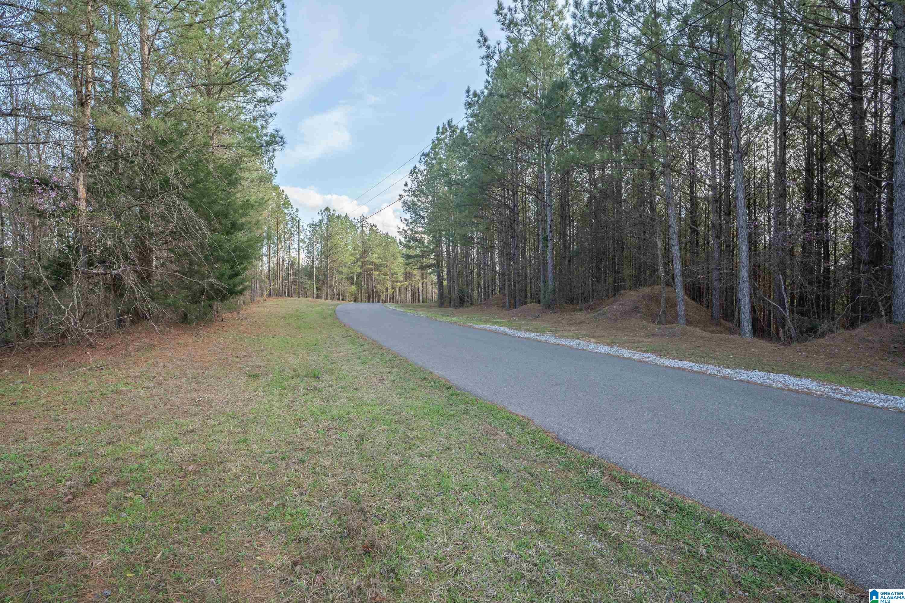 1321 Red Oak Road Helena, AL 35080 - Photo 5 of 12