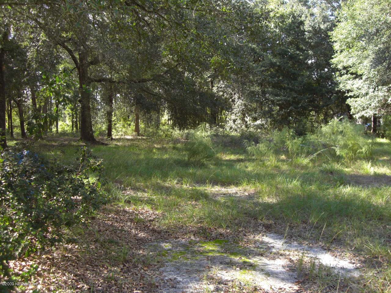 1231 Hatcher Road Middleburg, FL 32068 - Photo 3 of 8 a backyard of a house with lots of green space