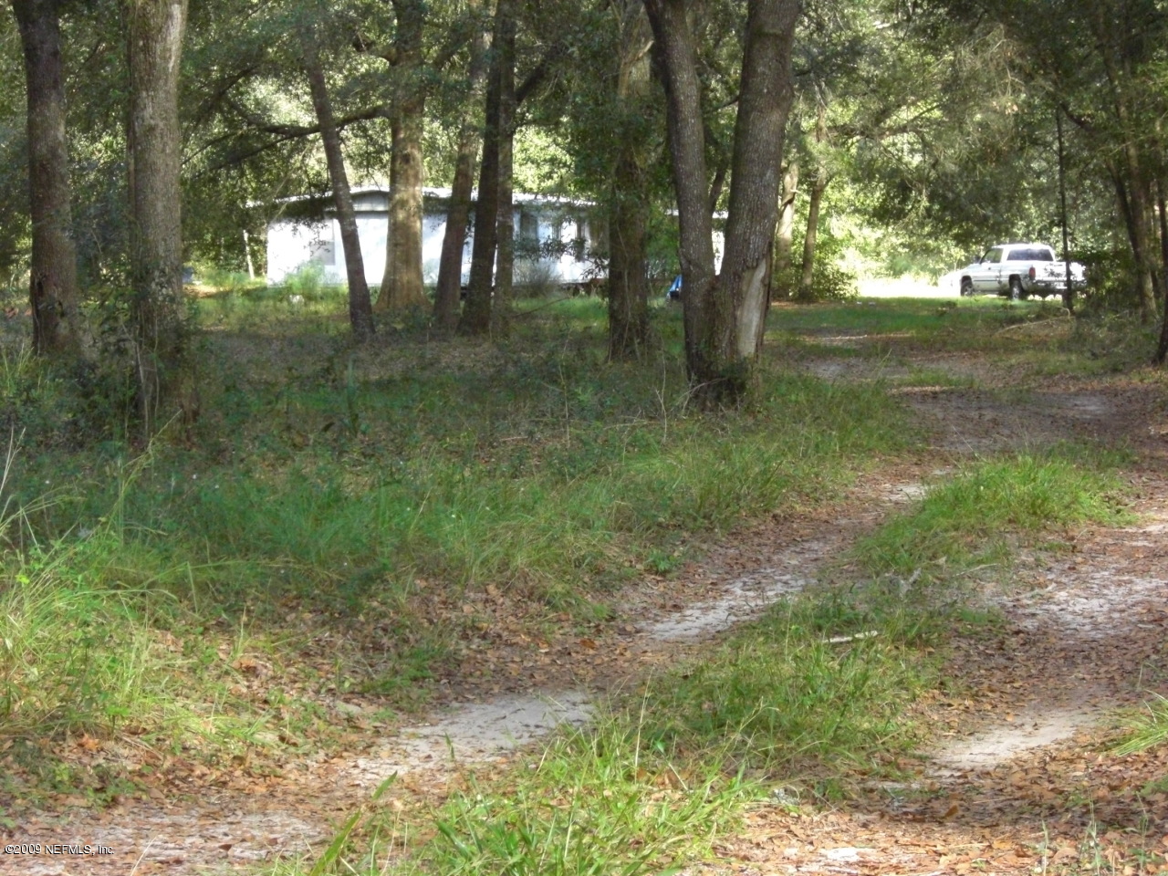 1231 Hatcher Road Middleburg, FL 32068 - Photo 7 of 8 a view of outdoor space and trees