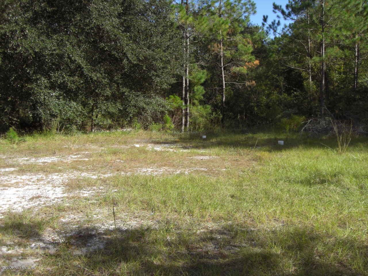 1231 Hatcher Road Middleburg, FL 32068 - Photo 8 of 8 a view of a yard with a tree