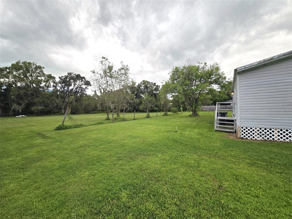 3301 Medulla Road Plant City, FL 33566 - Photo 10 of 37 Gallery Image 10