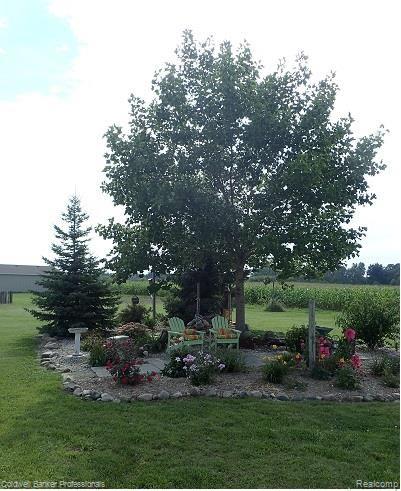 520 Maple Grove Road Lapeer, MI 48446 - Photo 48 of 48 Garden View.jpg