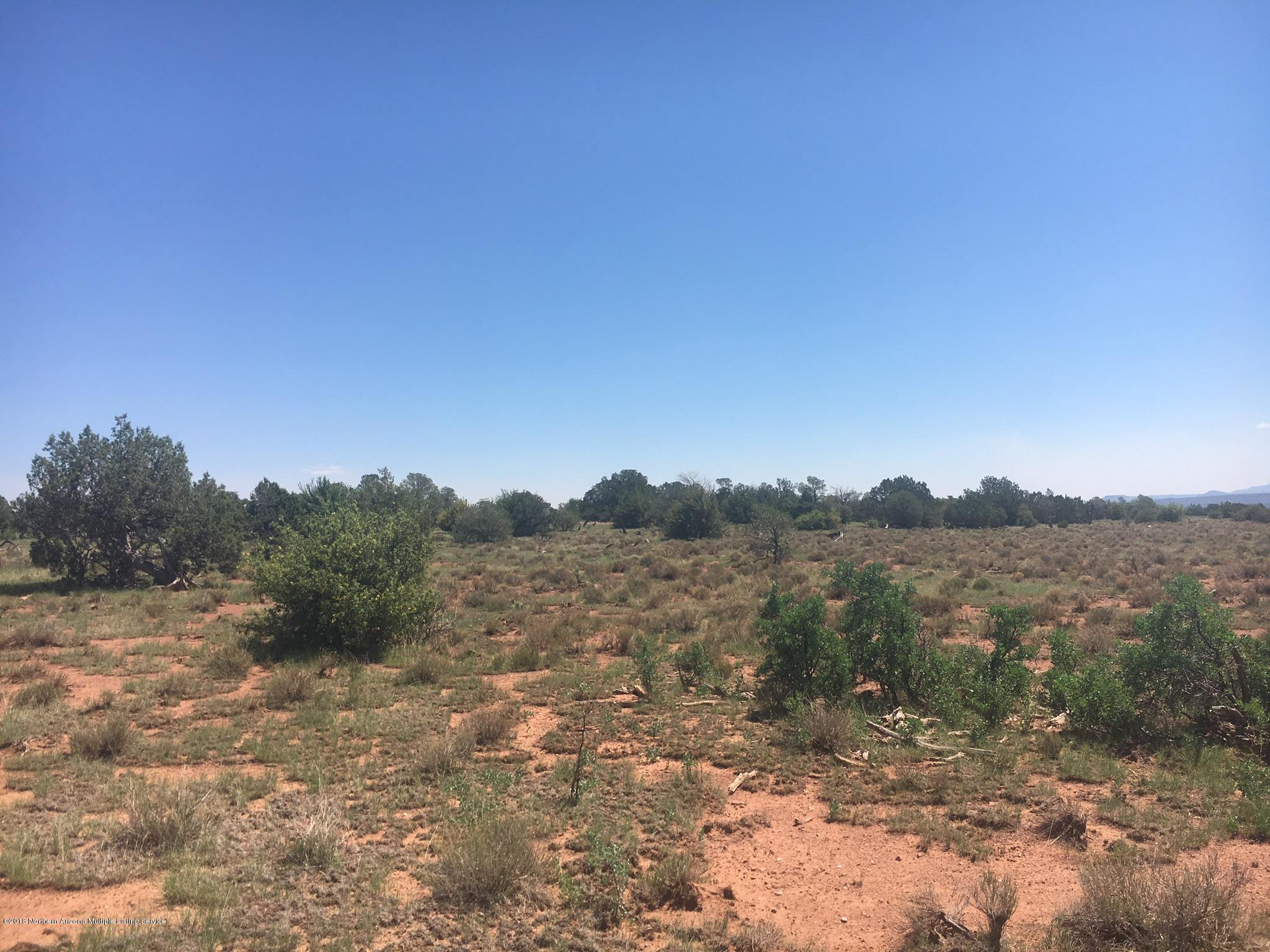 9207 West Red Bluff Road Williams, AZ 86046 - Photo 5 of 11 41CF0EB2-669B-4E7D-B12D-4160B2D527D9