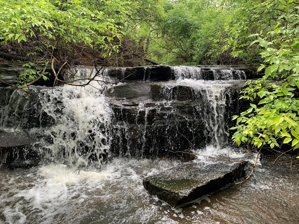 600 Freeze Street Cookeville, TN 38501 - Photo 2 of 50