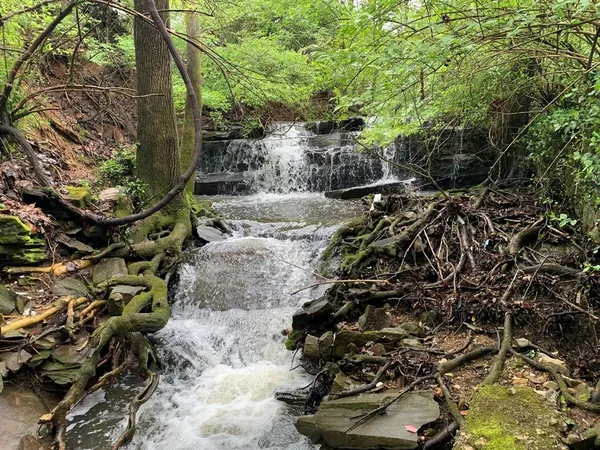 $450,000 | 600 Freeze Street, Cookeville, TN 38501