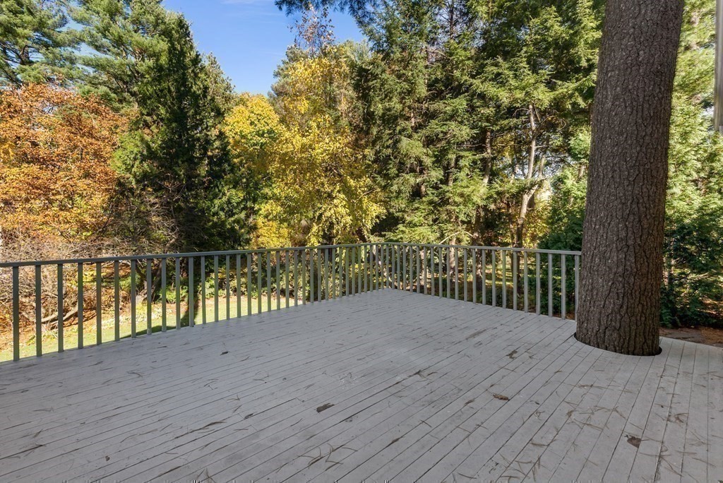 227 Islington Road Newton, MA 02466 - Photo 28 of 40