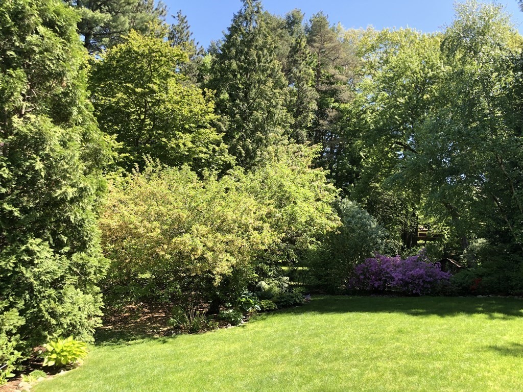227 Islington Road Newton, MA 02466 - Photo 29 of 40