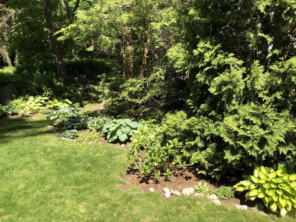 227 Islington Road Newton, MA 02466 - Photo 30 of 40