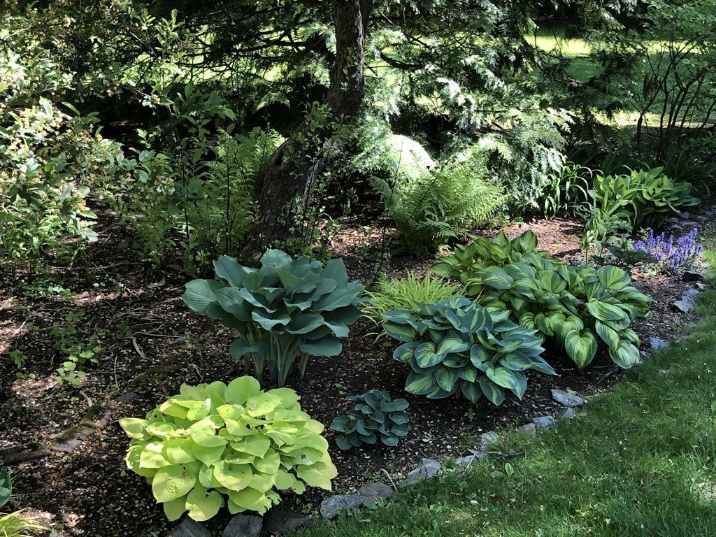 227 Islington Road Newton, MA 02466 - Photo 31 of 40