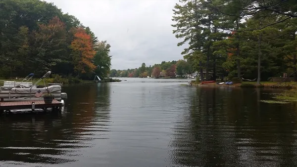 a view of a park with large trees