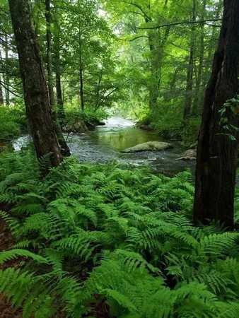 $359,900 | 12 Point Eastalee Drive, Spencer, MA 01562