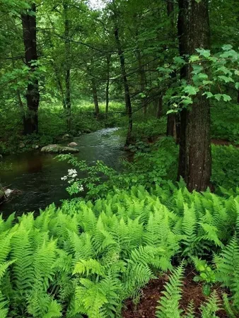 $359,900 | 12 Point Eastalee Drive, Spencer, MA 01562