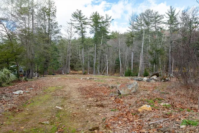 a view of a forest with trees in the background
