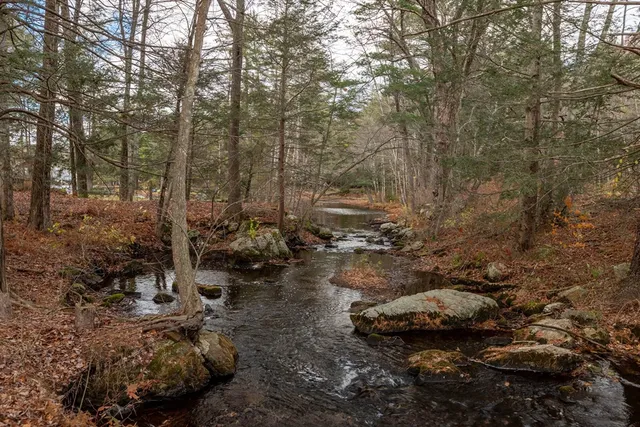a view of a forest with trees