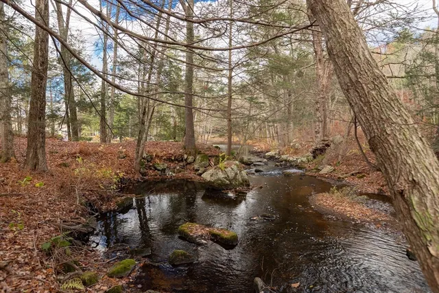 a view of a yard with plants and trees