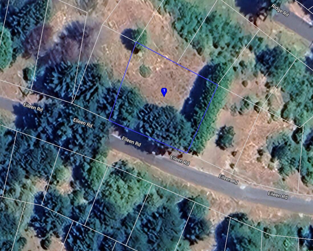 65 Eileen Road Shelter Cove, CA 95589 - Photo 8 of 10