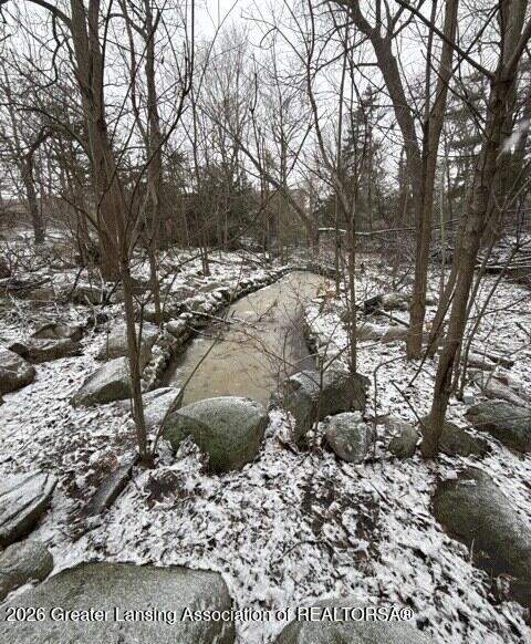 3215 South Cambridge Road Lansing, MI 48911 - Photo 48 of 49 20260114_172245079_iOS