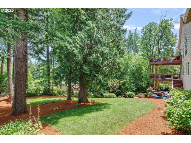 a view of a yard with plants and a bench
