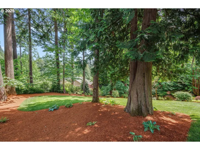 a backyard of a house with a yard and potted plants